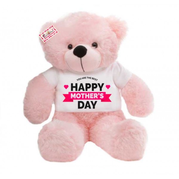 2 feet big pink teddy bear wearing YOU ARE THE BEST Happy Mothers Day T-shirt